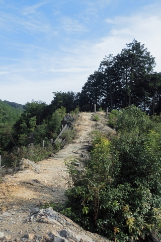 お山0913.JPG