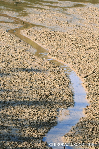 中池1026_1.jpg