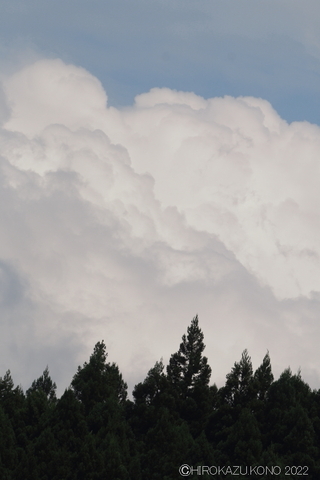 夏空0816.JPG