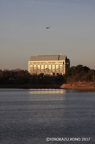 多摩湖0106-_1.jpg