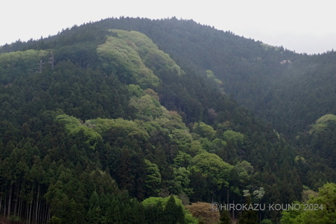 大滝の山0423.jpg