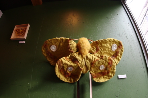 小さな翅20101028-2.JPG