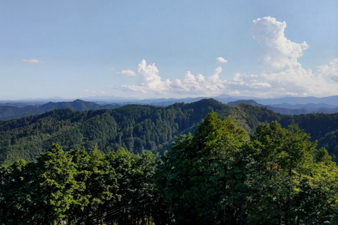 山0729.JPG