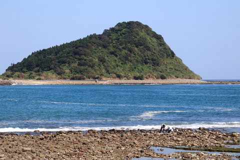 島1001.JPG