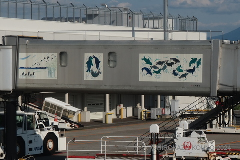 旭川空港0714-1.jpg