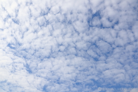秋空0916.JPG