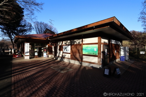 自然観察センター1215.JPG