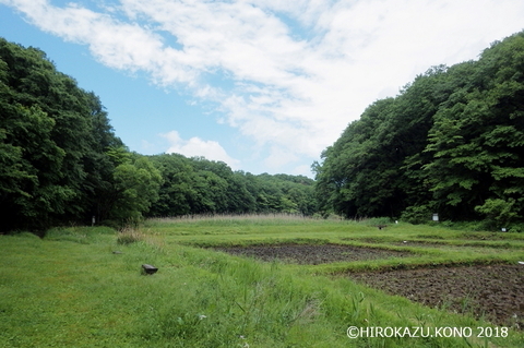 谷戸の晴れ間0510_1.jpg