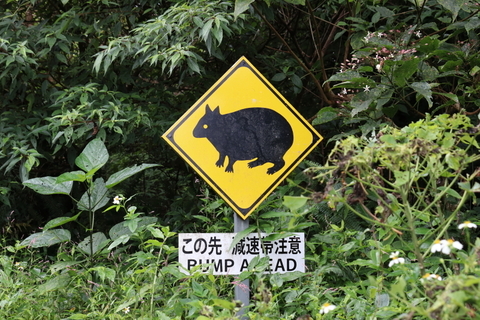 走行注意1005.JPG