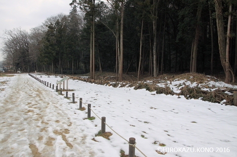 雪0206_1.jpg
