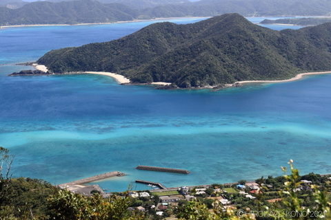 龍郷湾1004.JPG