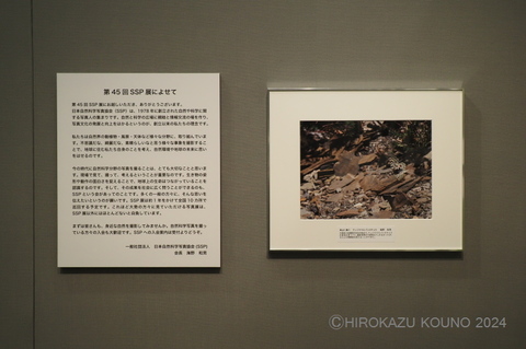 SSP展2024-3.jpg