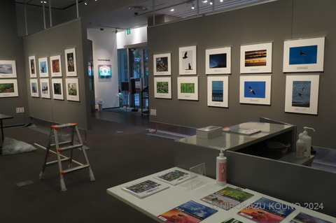 SSP展2024-4.jpg